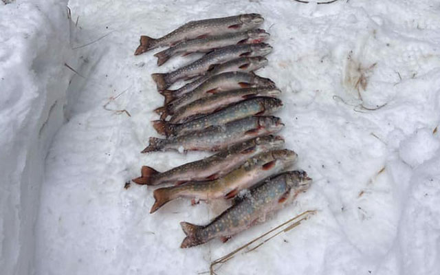 ice-fishing-03
