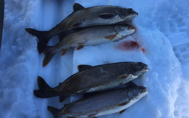 ice_fishing_19