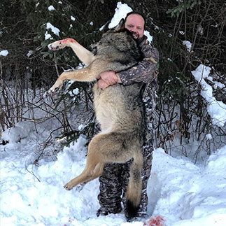 12-13-21-wolf-2