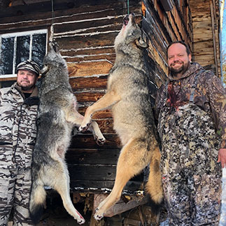 12-13-21-wolf-3
