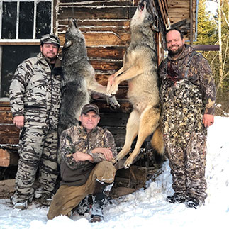 12-13-21-wolf-4